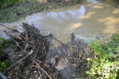 Uhingen: Unwetterfront zieht ueber den Ort und laesst Strassen und Keller vollaufen